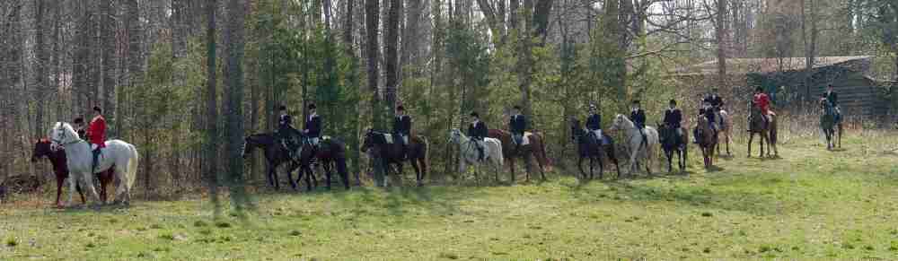 hunt